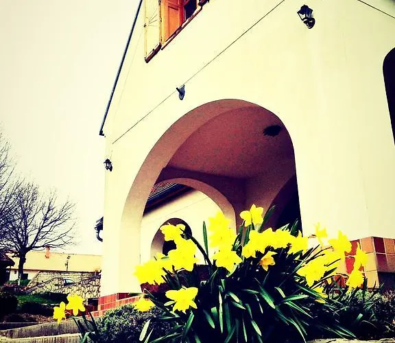 Pensjonat Figula Vendeghaz