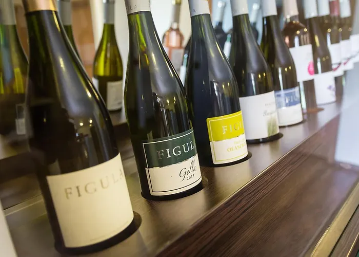 Pensjonat Figula Vendeghaz Balatonfüred