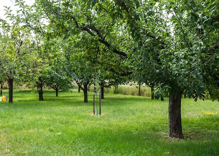 Pensjonat Figula Vendeghaz Balatonfüred